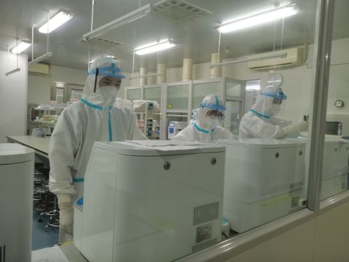 探访 郑州市核酸检测结果如何准确快速出炉